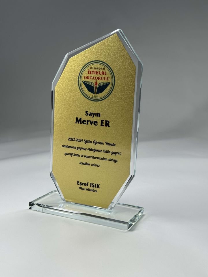 Renkli Metal Cam Plaket Ödül 08