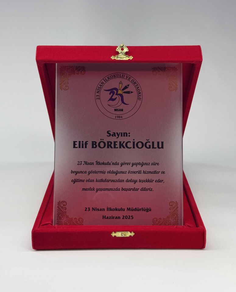 Cam Plaket Şilt 06