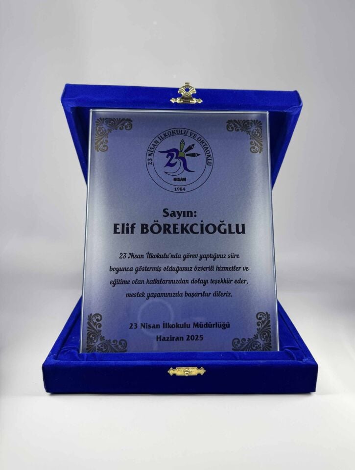 Cam Plaket Şilt 08