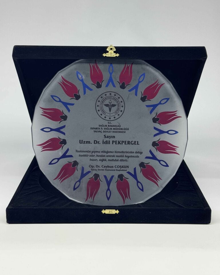 Cam Tabak Plaket Şilt 08