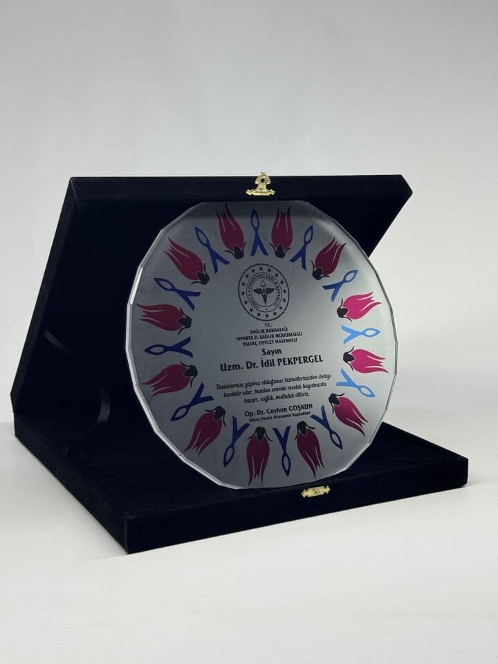 Cam Tabak Plaket Şilt 08