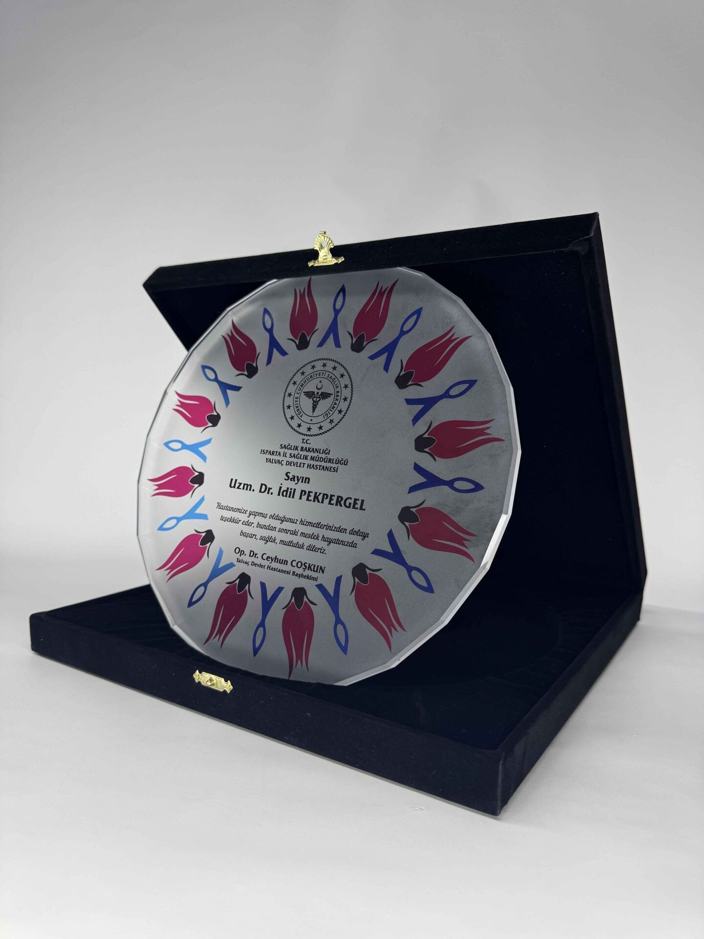 Cam Tabak Plaket Şilt 08