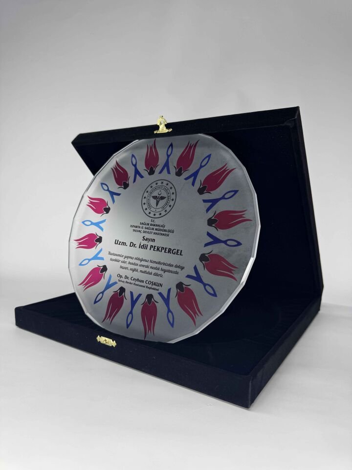 Cam Tabak Plaket Şilt 08