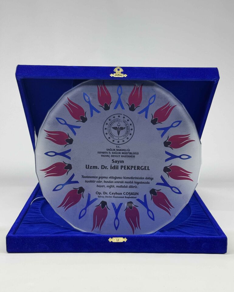 Cam Tabak Plaket Şilt 09