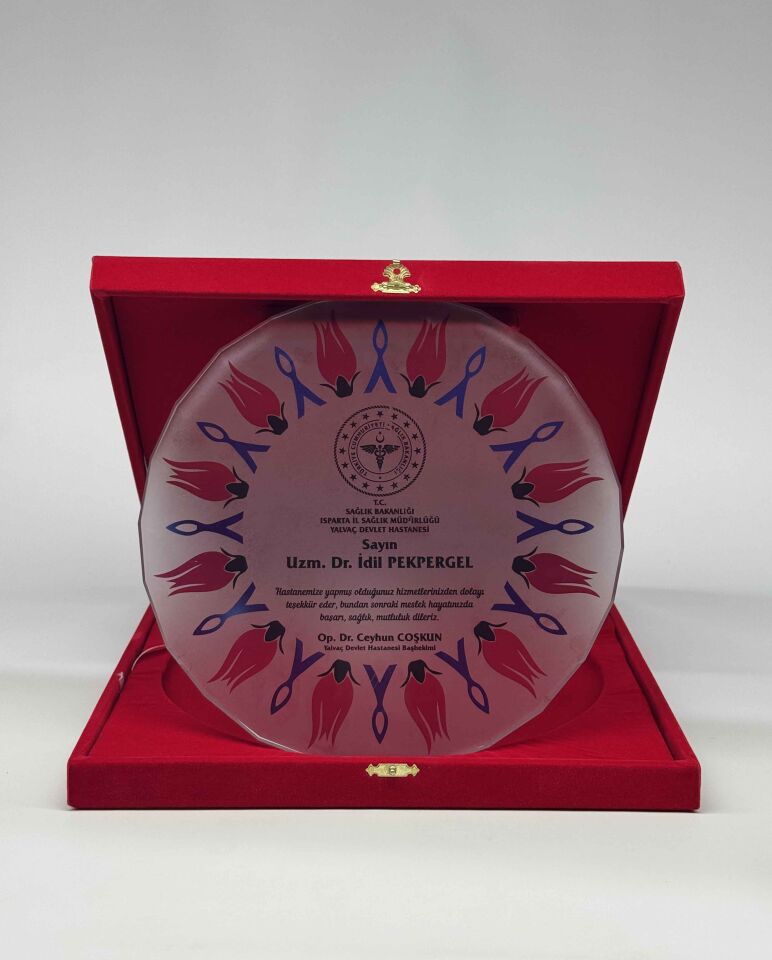 Cam Tabak Plaket Şilt 10