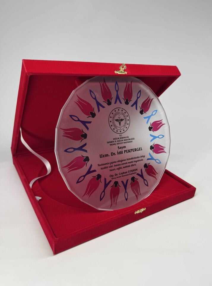 Cam Tabak Plaket Şilt 10