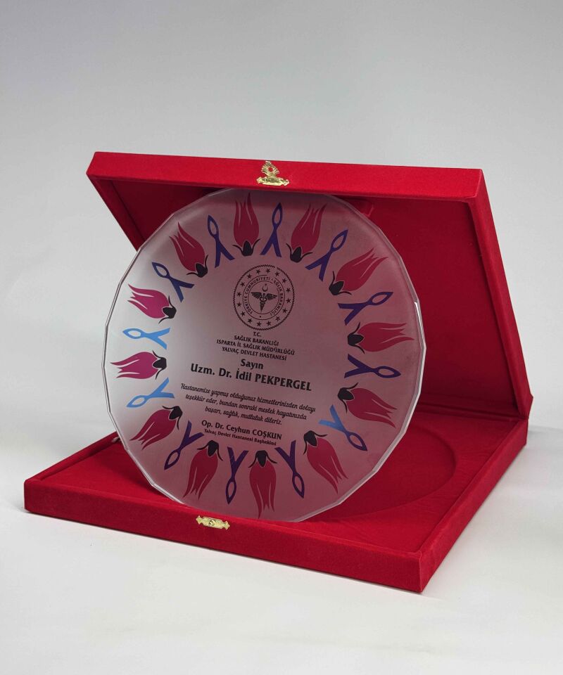 Cam Tabak Plaket Şilt 10