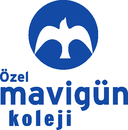 Resim Alt Etiketi